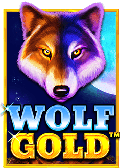 รวมค่ายสล็อตในเว็บเดียว วอลเลท สนุกครบ จบในที่เดียว